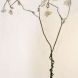 Forged mild steel tree with stainless steel woven wirecloth leaves